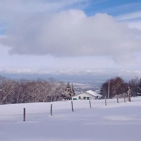 Autrichien Avec Cheminee Et Animaux Acceptes - Fr-1-496-177 Arcon (Loire)