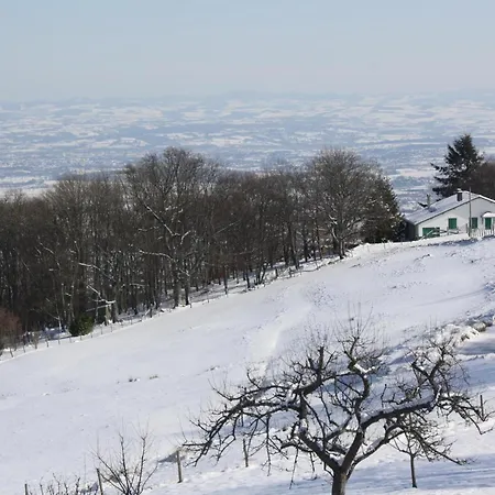 Autrichien Avec Cheminee Et Animaux Acceptes - Fr-1-496-177 Country house *